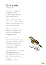 Carregar imagem no visualizador da galeria, Pindorama - Semana da pátria - IMPRESSO