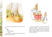 Carregar imagem no visualizador da galeria, Questionário Literário: Pedro Coelho (Beatrix Potter) - PDF