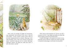 Carregar imagem no visualizador da galeria, Questionário Literário: Pedro Coelho (Beatrix Potter) - PDF