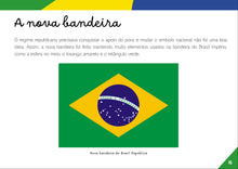 Carregar imagem no visualizador da galeria, Bandeira do Brasil